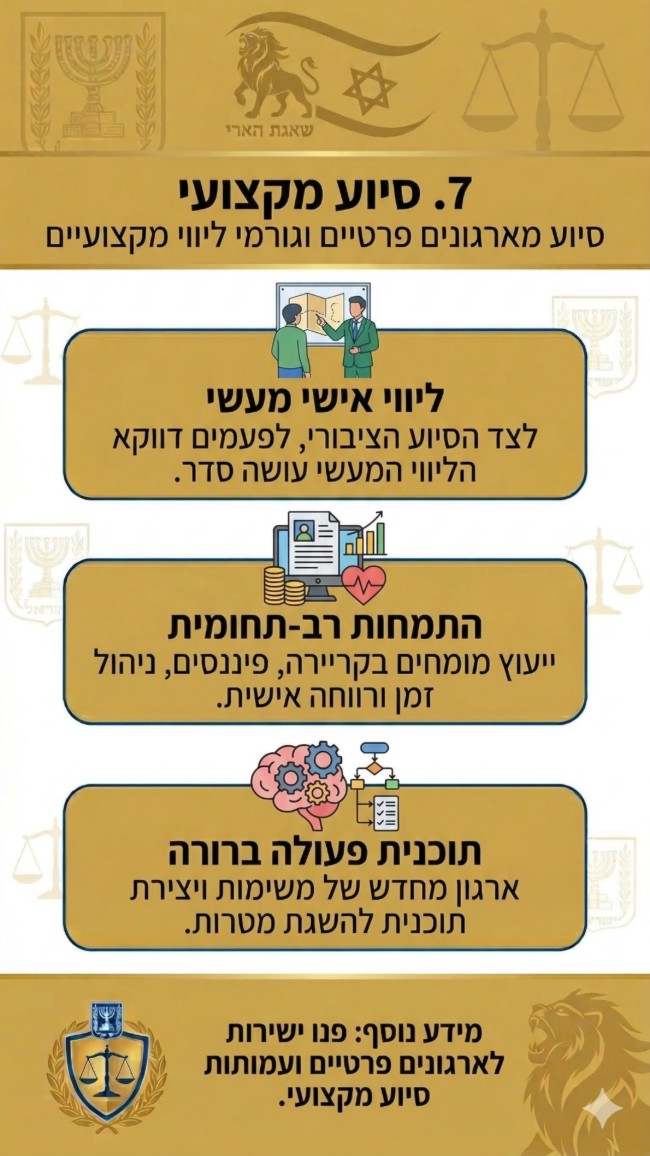 סיוע מארגונים פרטיים ויועצים מקצועיים